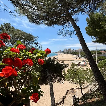 - En Primera Linea De Mar Con Parking Apartment *