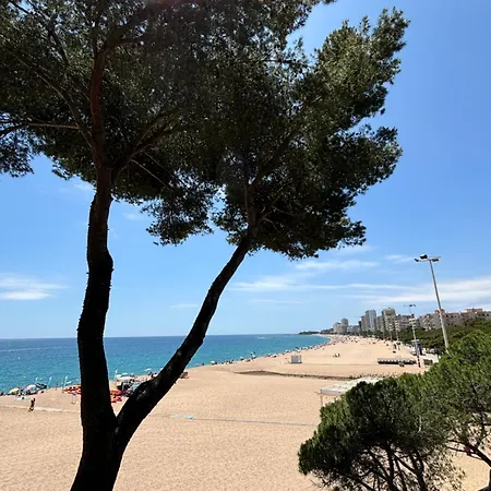 Apartment - En Primera Linea De Mar Con Parking *